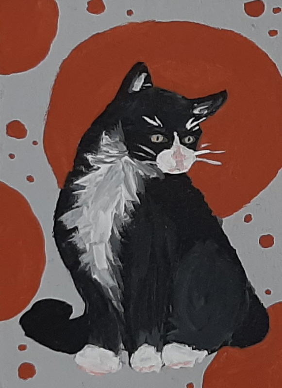 tuxiedo cat on red dots